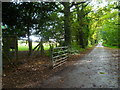 Byway going south from Chapel Green