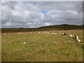 Stannon stone circle and china clay works