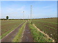 Track from High Thornborough to Sandy Banks