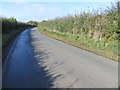 Road (Sandy Bank) approaching Northallerton