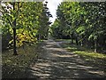 Early autumn on Babraham Road