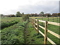 Footpath and the North Hykeham Pump Drain