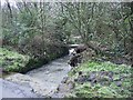 Footbridge near Treseisyllt