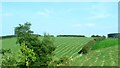 Meadows cut for silage at Broomhill Farm