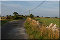 M3519 : Road to Ballynacloghy by Ian Capper