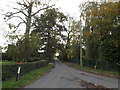 TM0961 : Blacksmiths Lane, Middlewood Green by Geographer