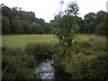 River Meden, Pleasley Vale