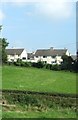 Houses at Oliver Plunkett