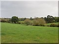 Grassland, Pentre-coed