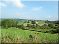 Farmland north-east of the A25 between the Mountain Road and Sturgan Road junctions