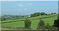 Drumlin slope fields between the A25 and Kesh Road