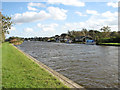 TG4117 : The River Thurne north of Repps by Evelyn Simak