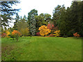 SE2585 : Autumn colours at Thorp Perrow by Oliver Dixon