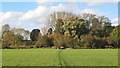 TL4110 : Hunsdon Mead Nature Reserve, Roydon by Roger Jones