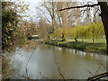 SP2965 : River Avon by Emscote Gardens, Warwick 2014, March 30, 12:04 by Robin Stott