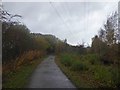 SE4446 : Power lines cross the Wetherby railway path by Steve  Fareham