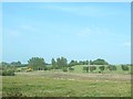 Wetland reclamation east of the Rathfriland Road