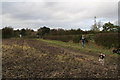 Link footpath between two footpaths to Bleasby