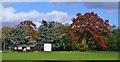 SU9085 : Cookham - Cricket Ground by Colin Smith