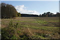 Fields at Newmiln, south of Guildtown