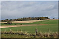 Fields north of Guildtown