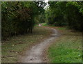 South along the Weddington Country Walk