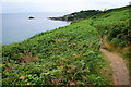 The coastal path above Puffer Cliff