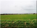 Fields north of Butchers Lane