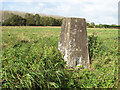 Triangulation pillar on Metfield Common