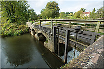 ST6163 : Bridge over the weir at Byemills Cottage by Guy Wareham