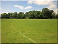 Castle Meadow, Wilton