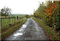 Minor road near Hutchison