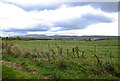 Farmland near Kinbuck