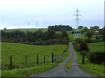 T2279 : Farm driveway and pylons at Pollaphuca by Oliver Dixon