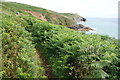 The South West Coast Path on Rinsey West Cliff