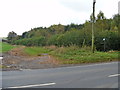 Bridleway leaves road