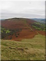 Path off Mynydd Troed