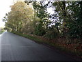 Woodland near Little Orton