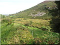 Scree on slope overlooking the Forkhill valley