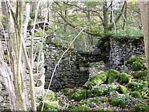 SD1892 : Derelict mining building near Millbrow by Perry Dark