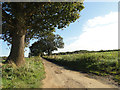 Lodge Lane (private track)