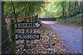 Squirrel Crossing at Croftinloan