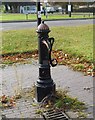 TF1505 : Restored parish water pump, Glinton by Paul Bryan