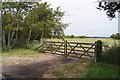 Fields east of Kingston Lane