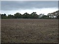 Farmland off Salt Pit Lane