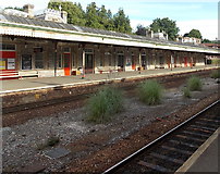 SX9063 : Covered section of platform 2 at  Torquay railway station by Jaggery