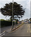 Torquay railway station access road