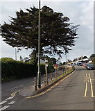 SX9063 : Torquay railway station access road by Jaggery