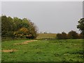 Field near New Crickett