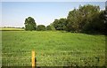 Field by Burcombe Farm